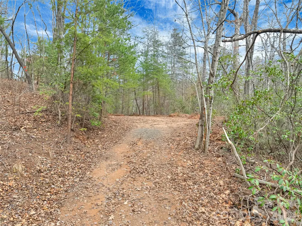 Tbd Deep Woods Lane Saluda NC 28773