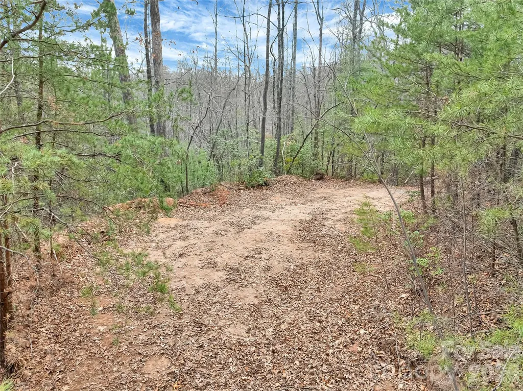 Tbd Deep Woods Lane Saluda NC 28773