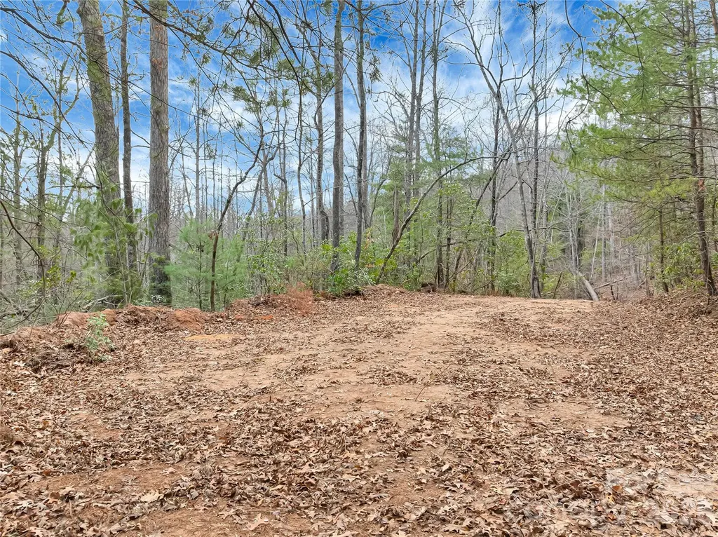 Tbd Deep Woods Lane Saluda NC 28773