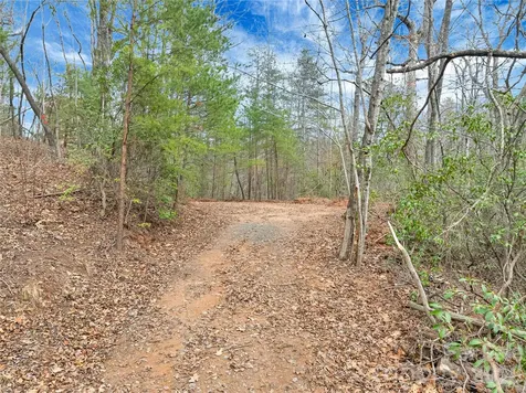 Tbd Deep Woods Lane Saluda NC 28773