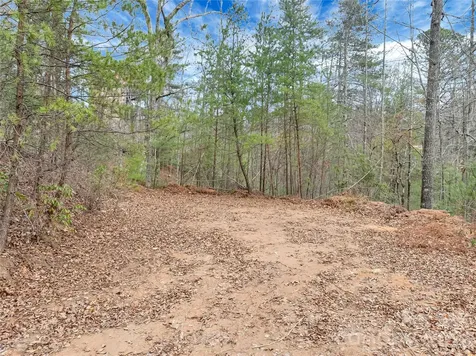 Tbd Deep Woods Lane Saluda NC 28773