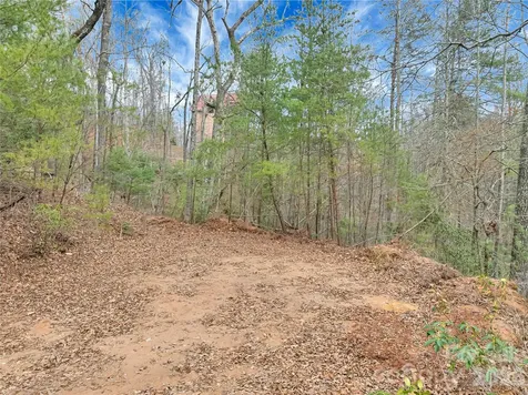 Tbd Deep Woods Lane Saluda NC 28773