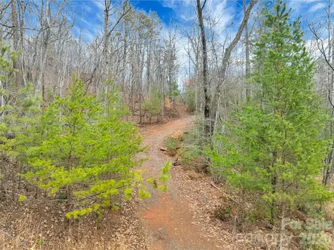 Tbd Deep Woods Lane Saluda NC 28773