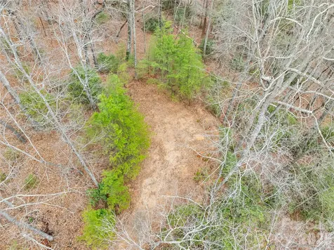 Tbd Deep Woods Lane Saluda NC 28773
