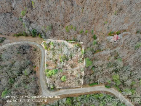 Tbd Deep Woods Lane Saluda NC 28773