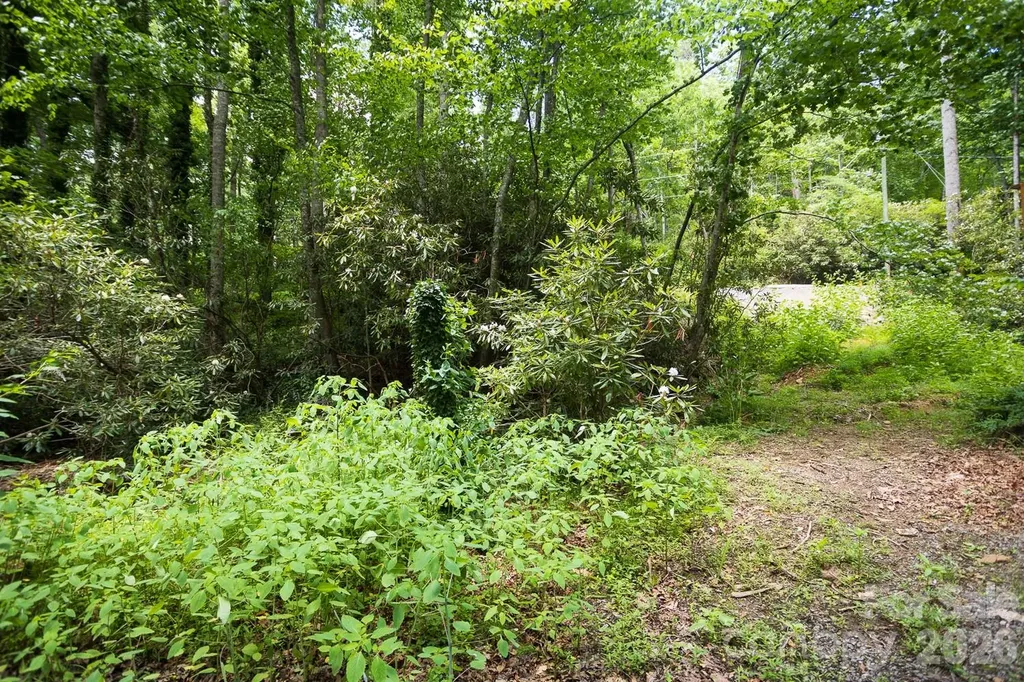 305 Melanie Lane Black Mountain NC 28711