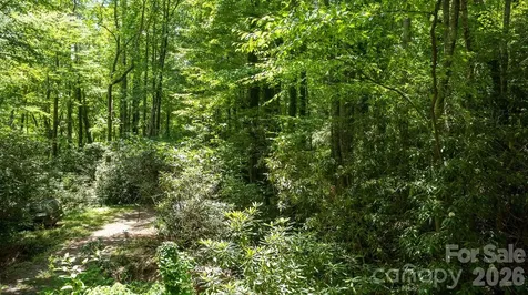 305 Melanie Lane Black Mountain NC 28711