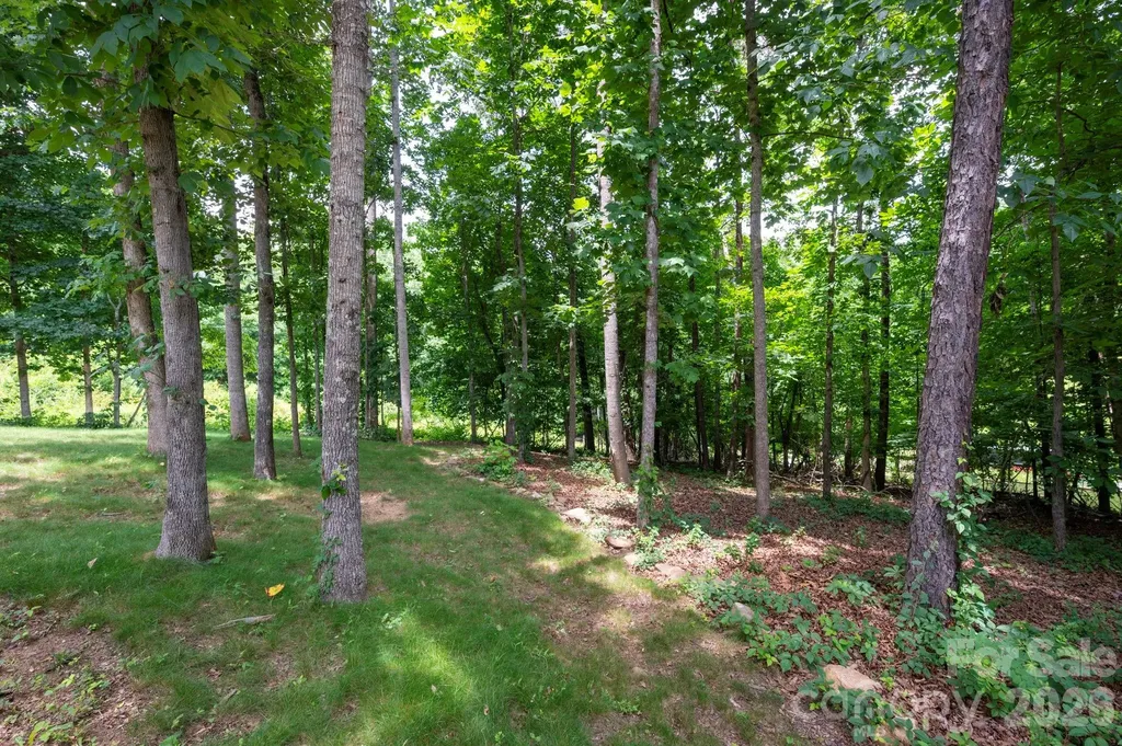 58 Shuler Road Candler NC 28715