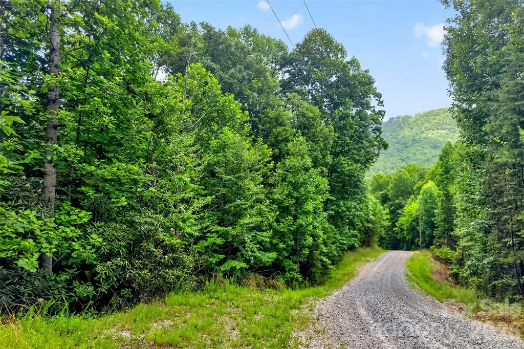 213 Mitchell View N Old Fort NC 28762