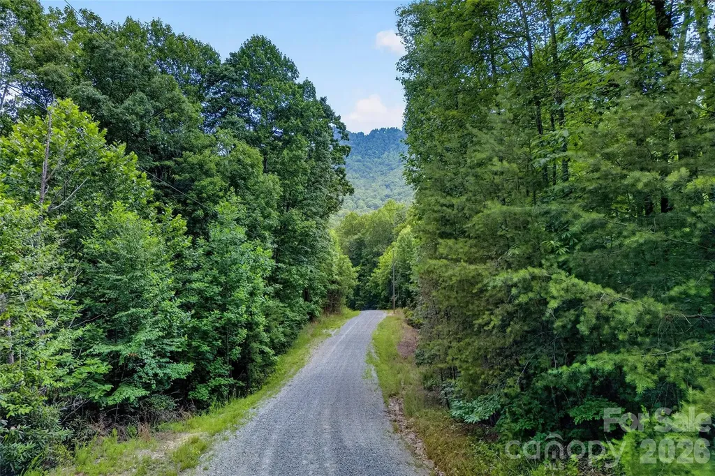 213 Mitchell View N Old Fort NC 28762