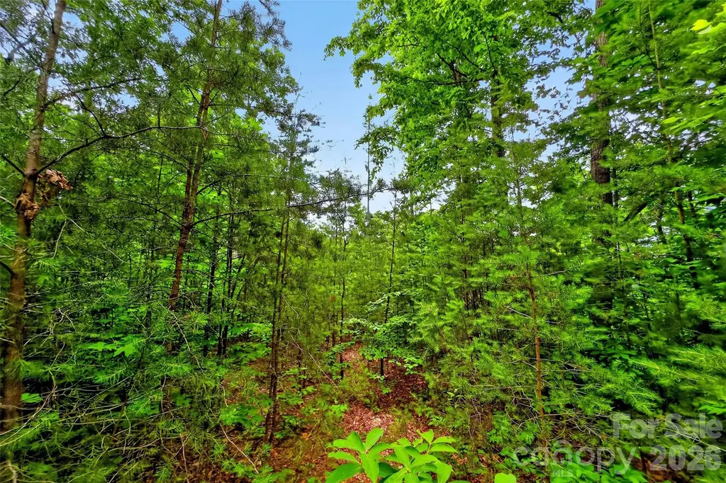 213 Mitchell View N Old Fort NC 28762