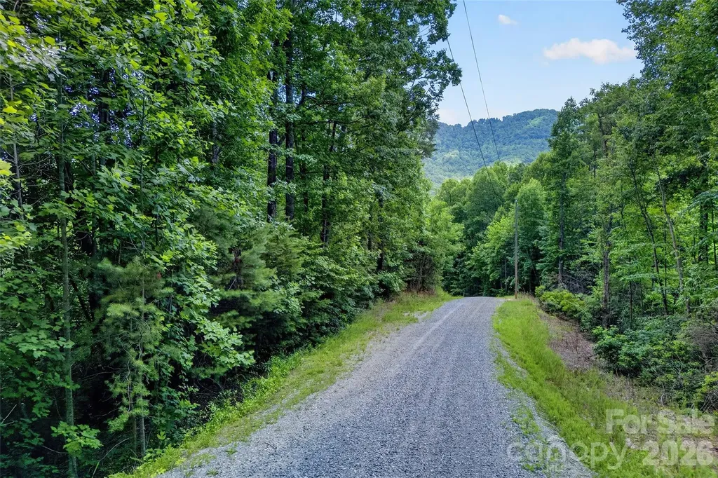 213 Mitchell View N Old Fort NC 28762