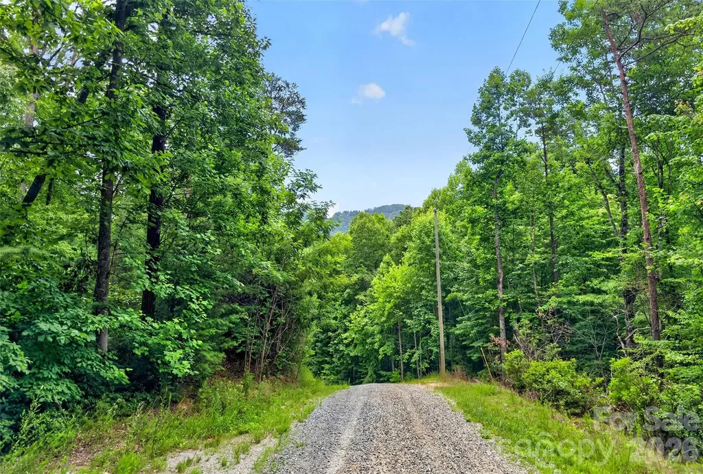 213 Mitchell View N Old Fort NC 28762