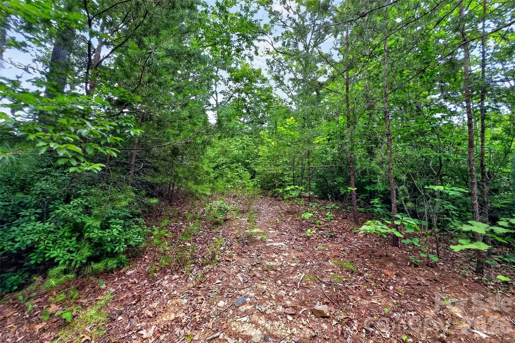 213 Mitchell View N Old Fort NC 28762