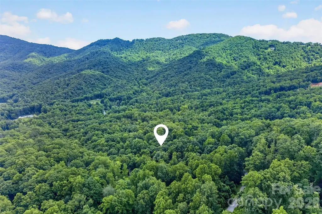 213 Mitchell View N Old Fort NC 28762