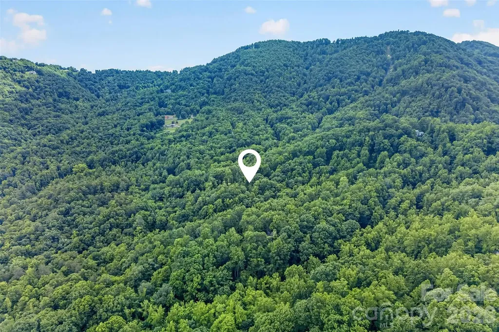 213 Mitchell View N Old Fort NC 28762