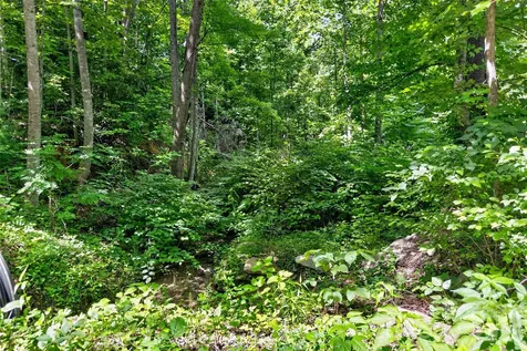 213 Mitchell View N Old Fort NC 28762
