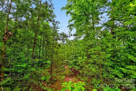 213 Mitchell View N Old Fort NC 28762