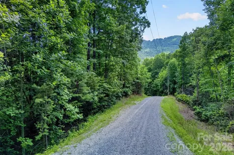 213 Mitchell View N Old Fort NC 28762