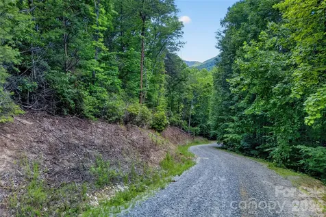 213 Mitchell View N Old Fort NC 28762