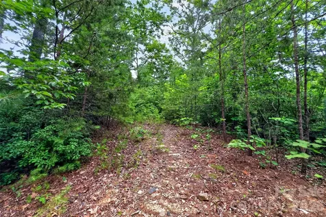 213 Mitchell View N Old Fort NC 28762
