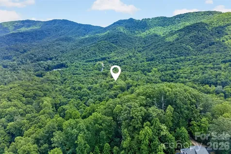 213 Mitchell View N Old Fort NC 28762