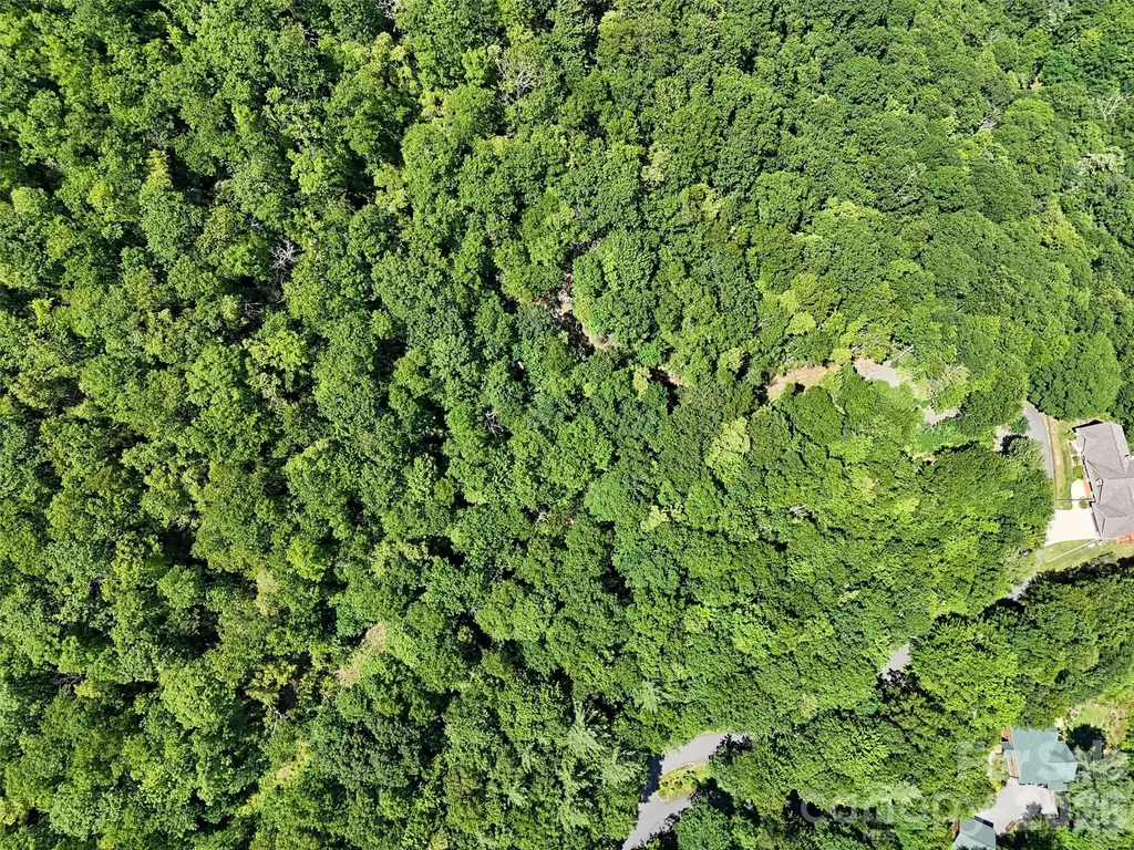 00 Rising Sun Road Waynesville NC 28786