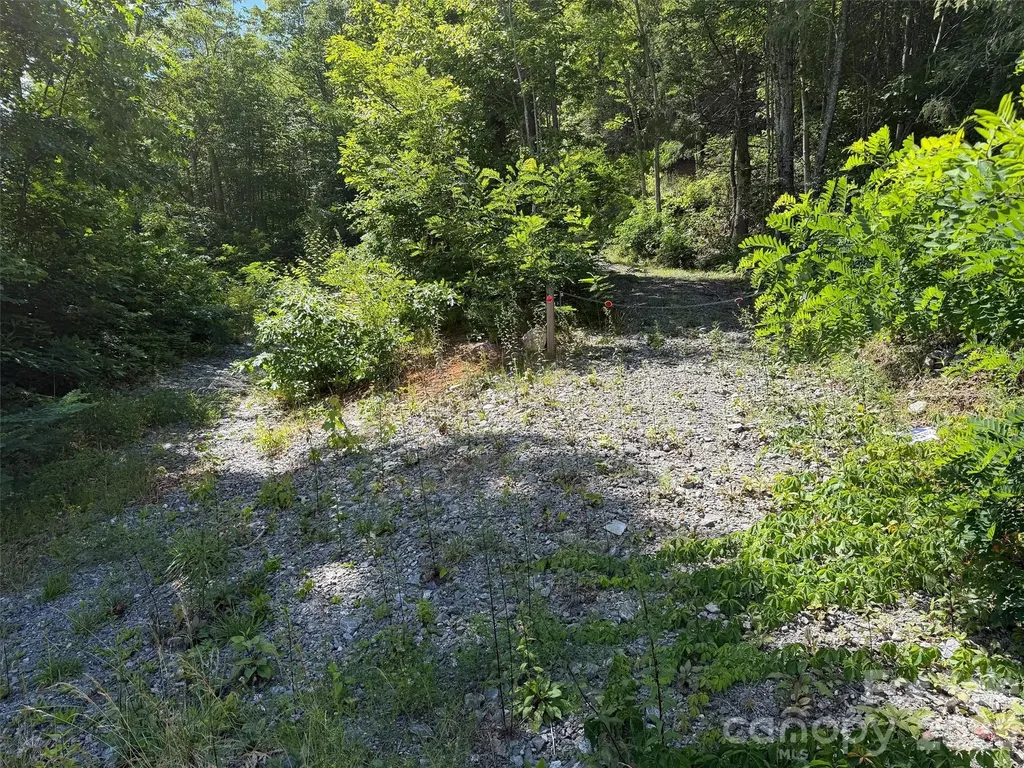 00 Rising Sun Road Waynesville NC 28786
