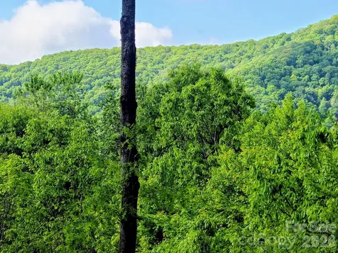 00 Rising Sun Road Waynesville NC 28786