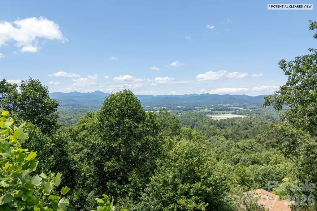 615 Goldview Drive Hendersonville NC 28791