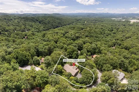 615 Goldview Drive Hendersonville NC 28791