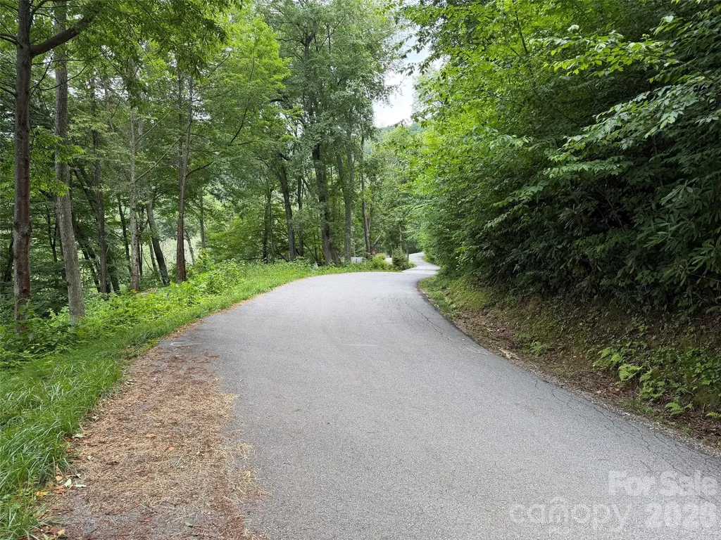 Lot 5 Gadohi Trail Maggie Valley NC 28751