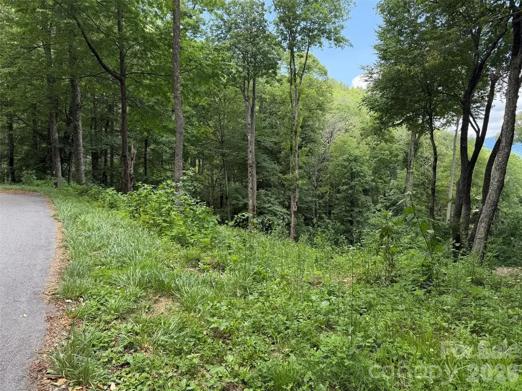 Lot 5 Gadohi Trail Maggie Valley NC 28751