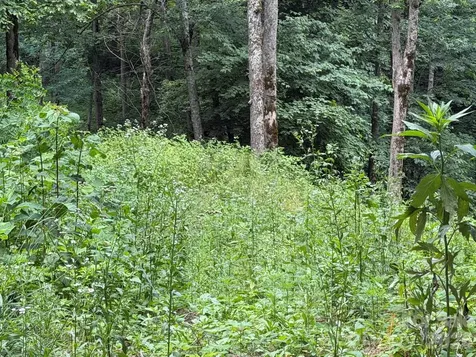 Lot 5 Gadohi Trail Maggie Valley NC 28751