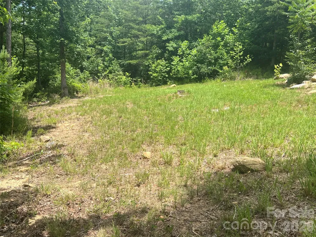 366 Dobsons Knob Loop Marion NC 28752