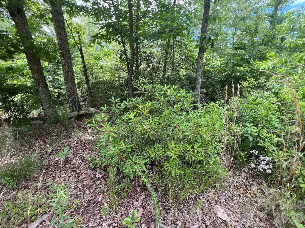 366 Dobsons Knob Loop Marion NC 28752