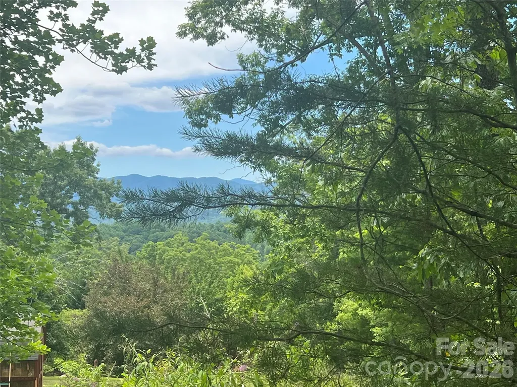 366 Dobsons Knob Loop Marion NC 28752