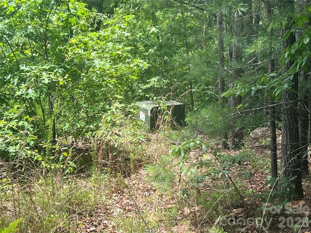 366 Dobsons Knob Loop Marion NC 28752