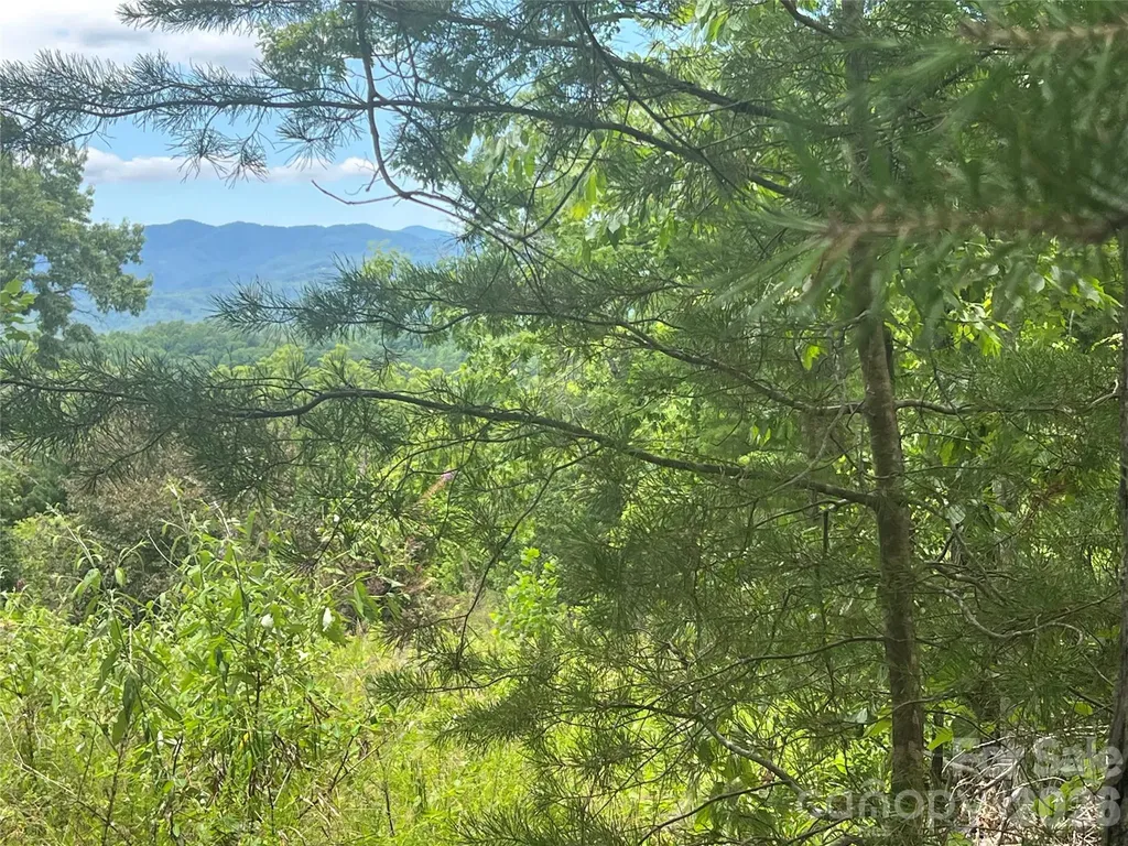 366 Dobsons Knob Loop Marion NC 28752