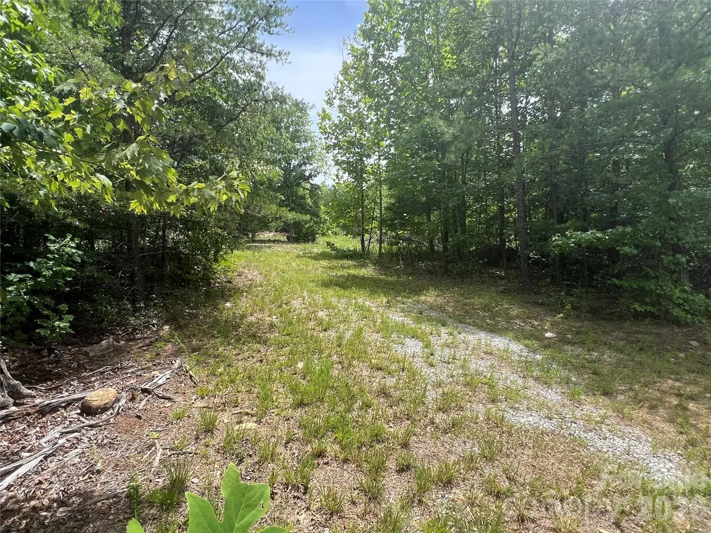 366 Dobsons Knob Loop Marion NC 28752