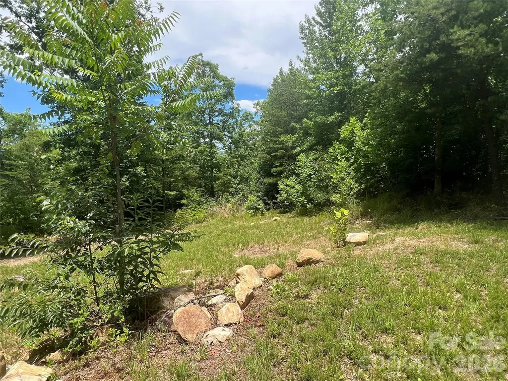 366 Dobsons Knob Loop Marion NC 28752