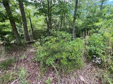 366 Dobsons Knob Loop Marion NC 28752