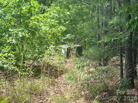 366 Dobsons Knob Loop Marion NC 28752