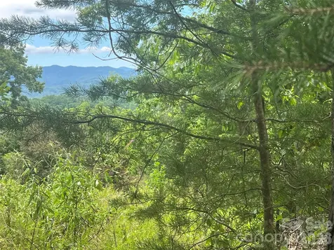 366 Dobsons Knob Loop Marion NC 28752