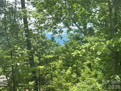 366 Dobsons Knob Loop Marion NC 28752