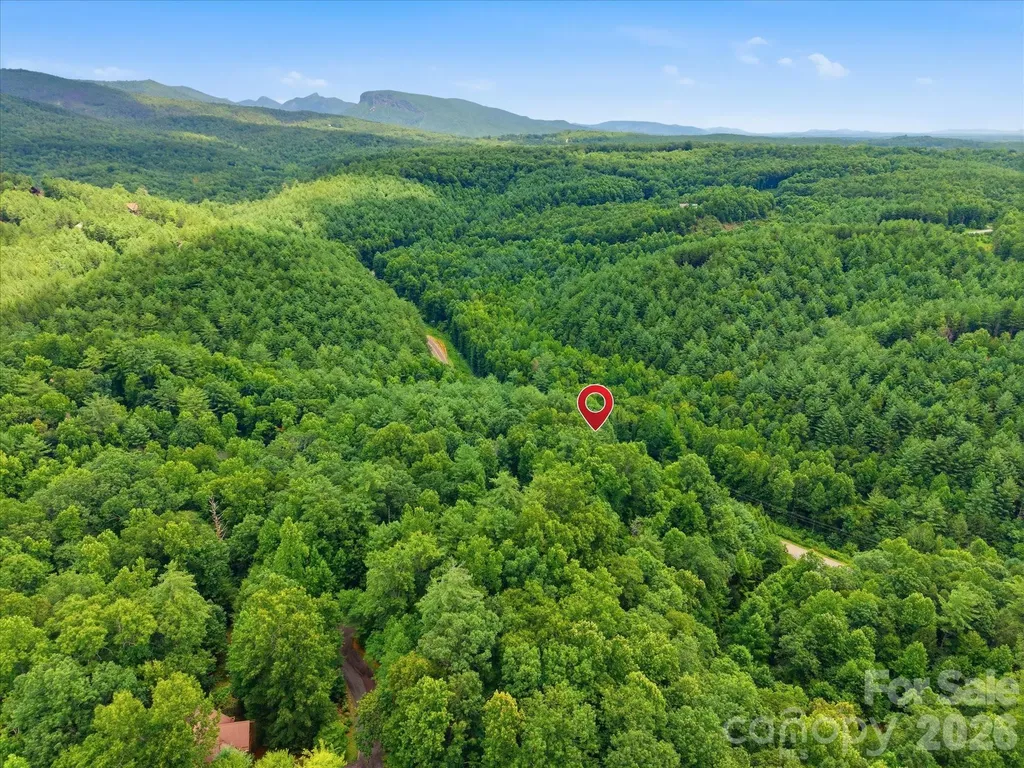 8542 Indian Trace Nebo NC 28761