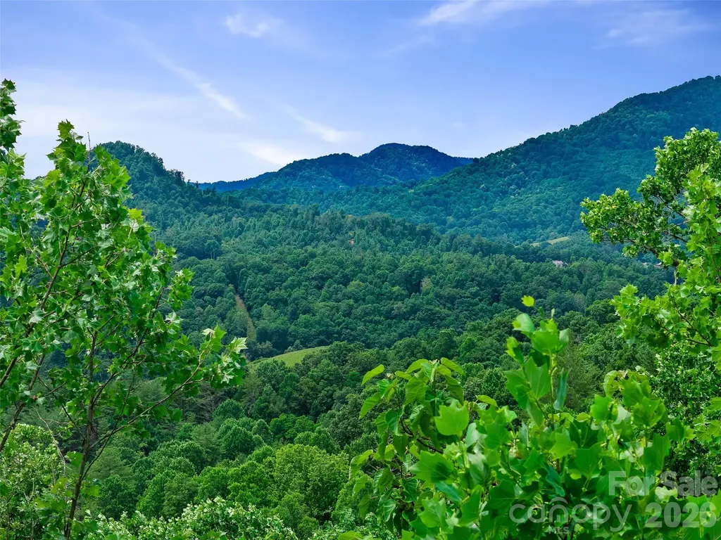 000 Hamlet Drive Burnsville NC 28714