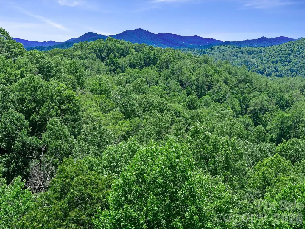 000 Hamlet Drive Burnsville NC 28714