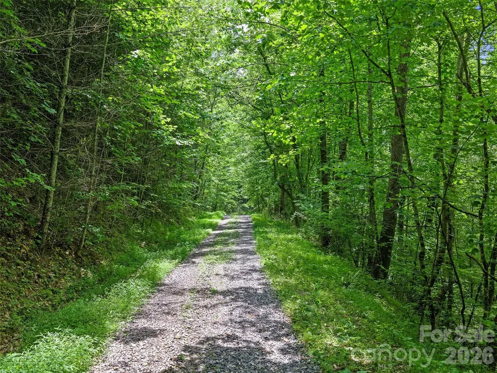 000 Hamlet Drive Burnsville NC 28714