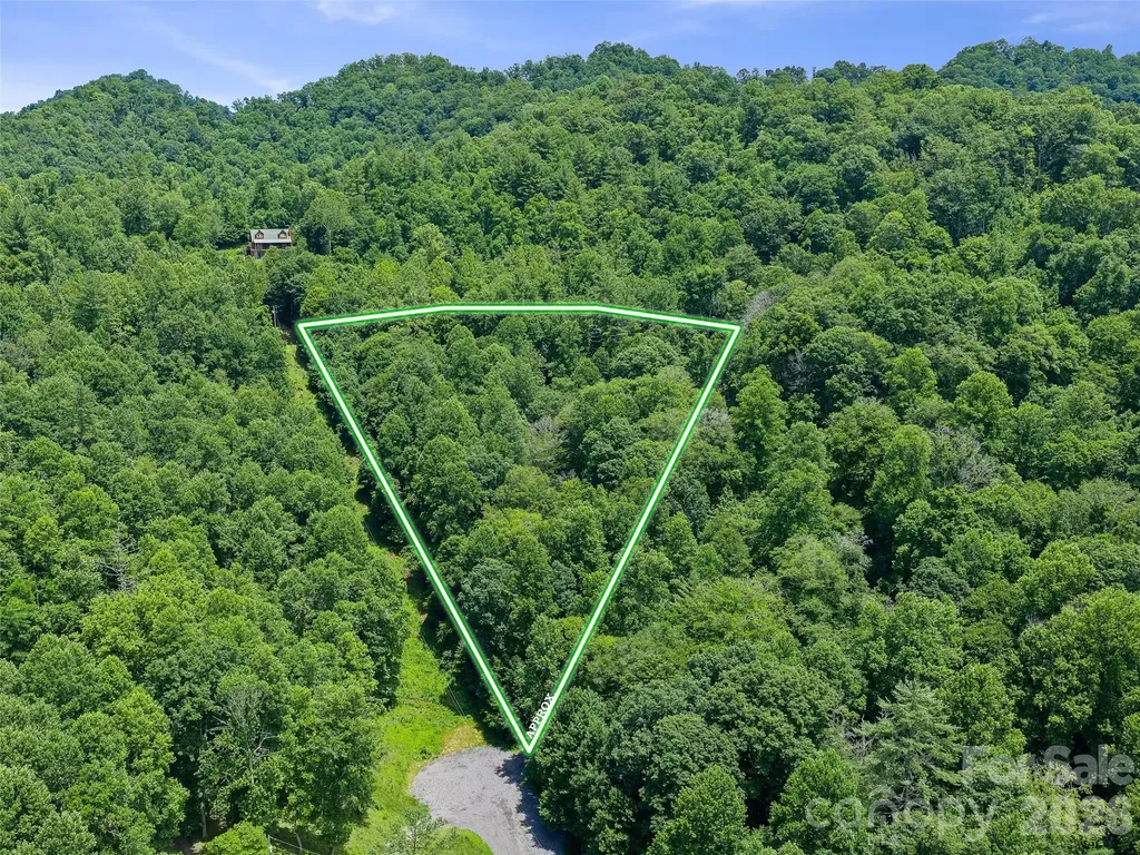 000 Hamlet Drive Burnsville NC 28714
